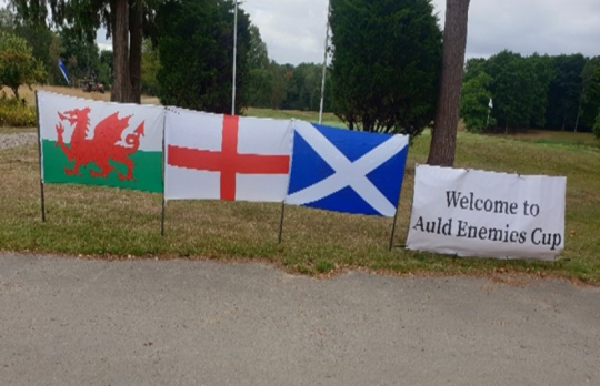 Insight 1 flags