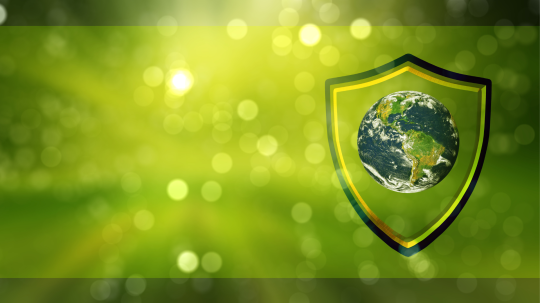 Environmental Policy